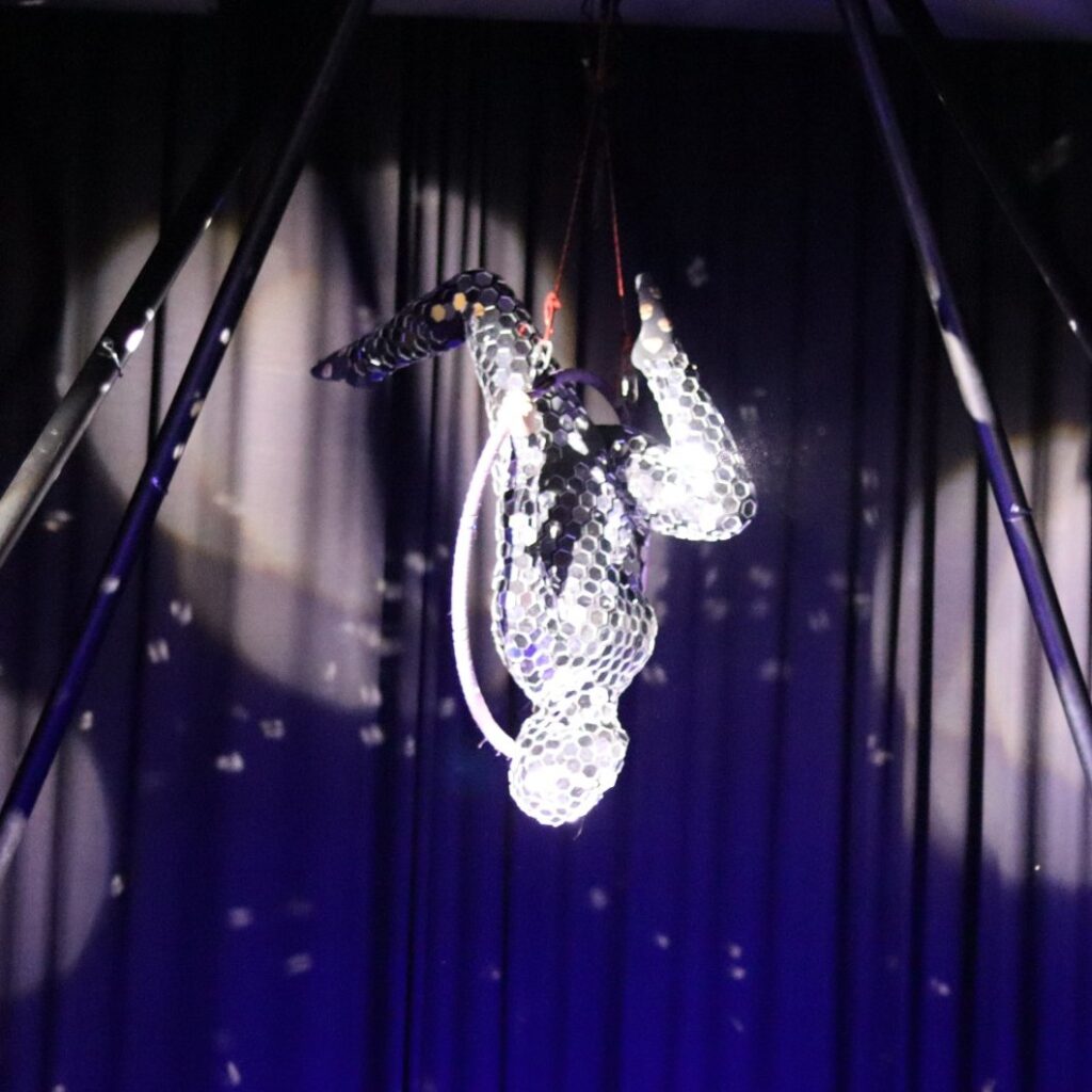 Sarah-Nikita kopfüber im Aerial Hoop, im glitzernden Spiegelkostüm auf der Bühne